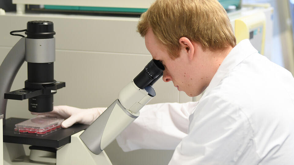 Фото: © Global Look Press/Arne Dedert/dpa