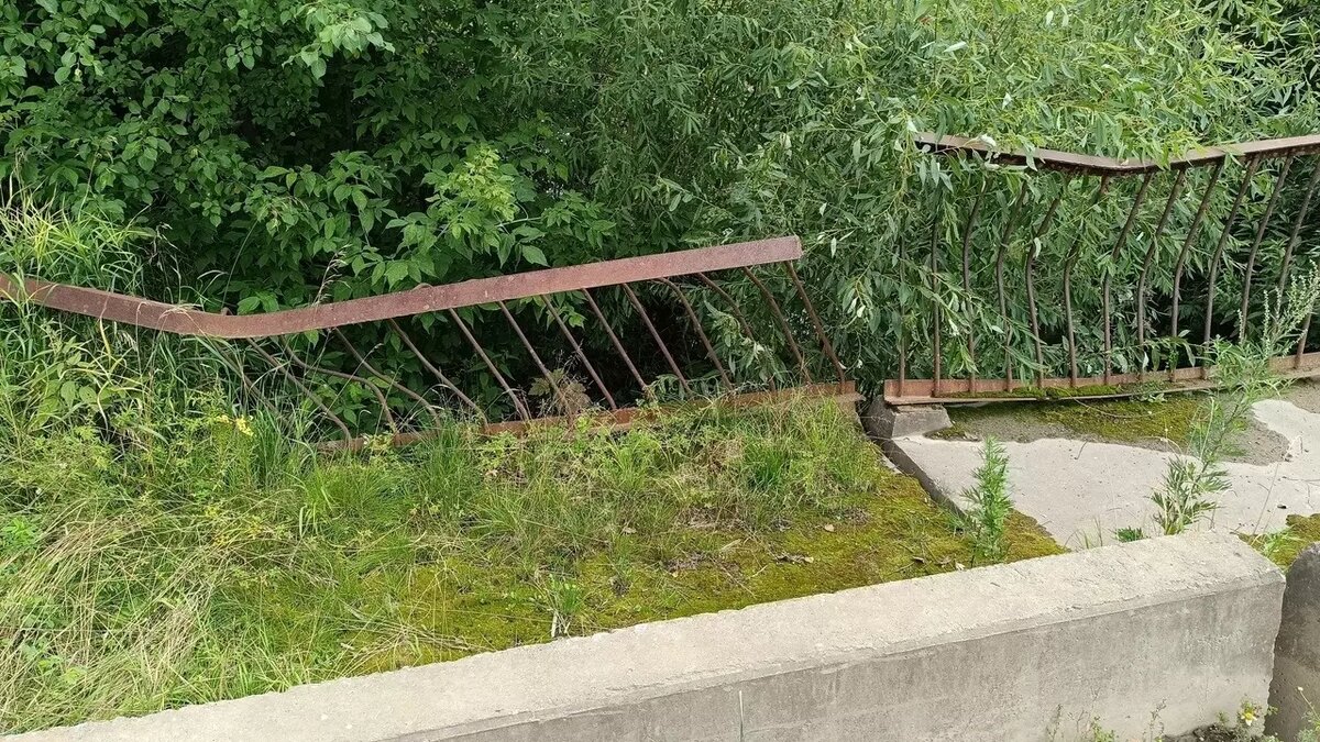     Источник: ОД «Тагил без ям»