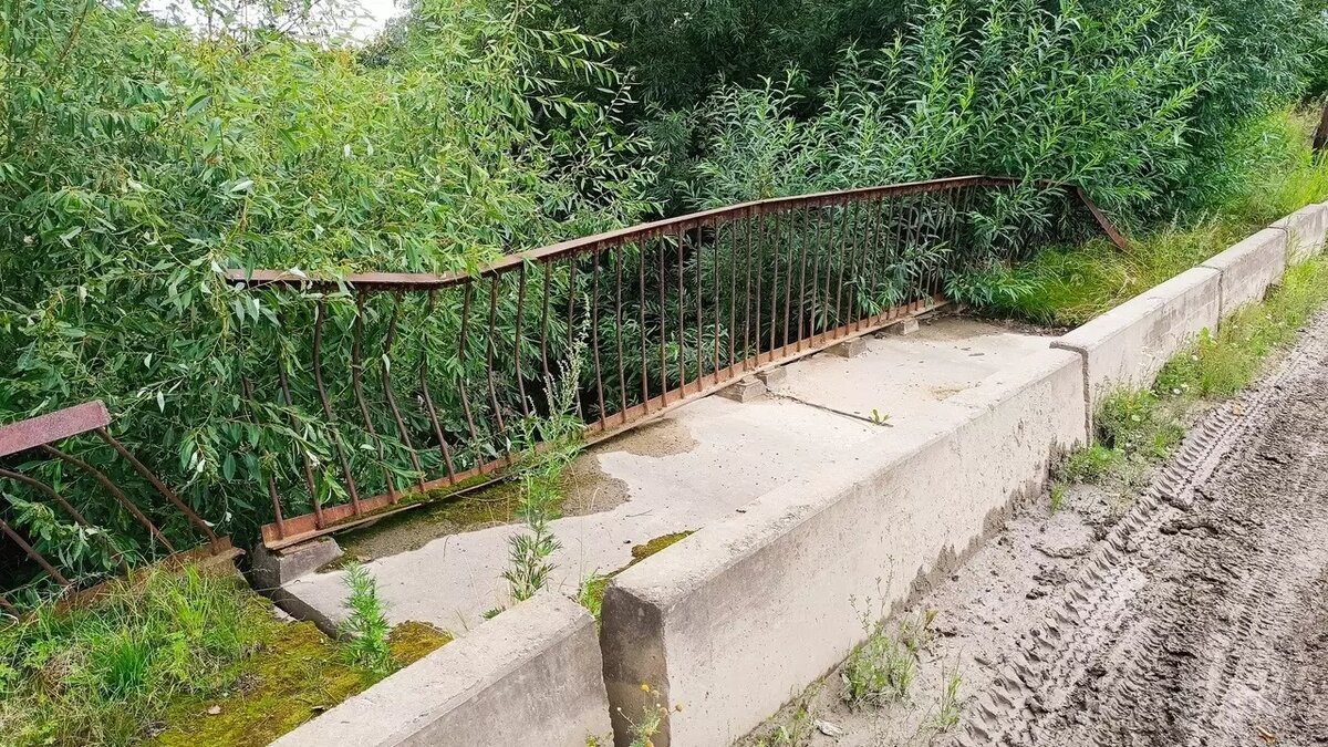     Источник: ОД «Тагил без ям»