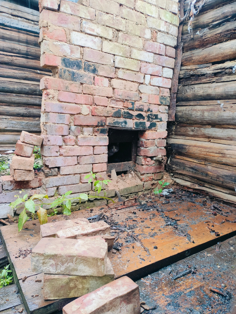 Эту стену мы ломали, чтоб добыть кирпичи для кладки в горевшей бане (найди кота)) 