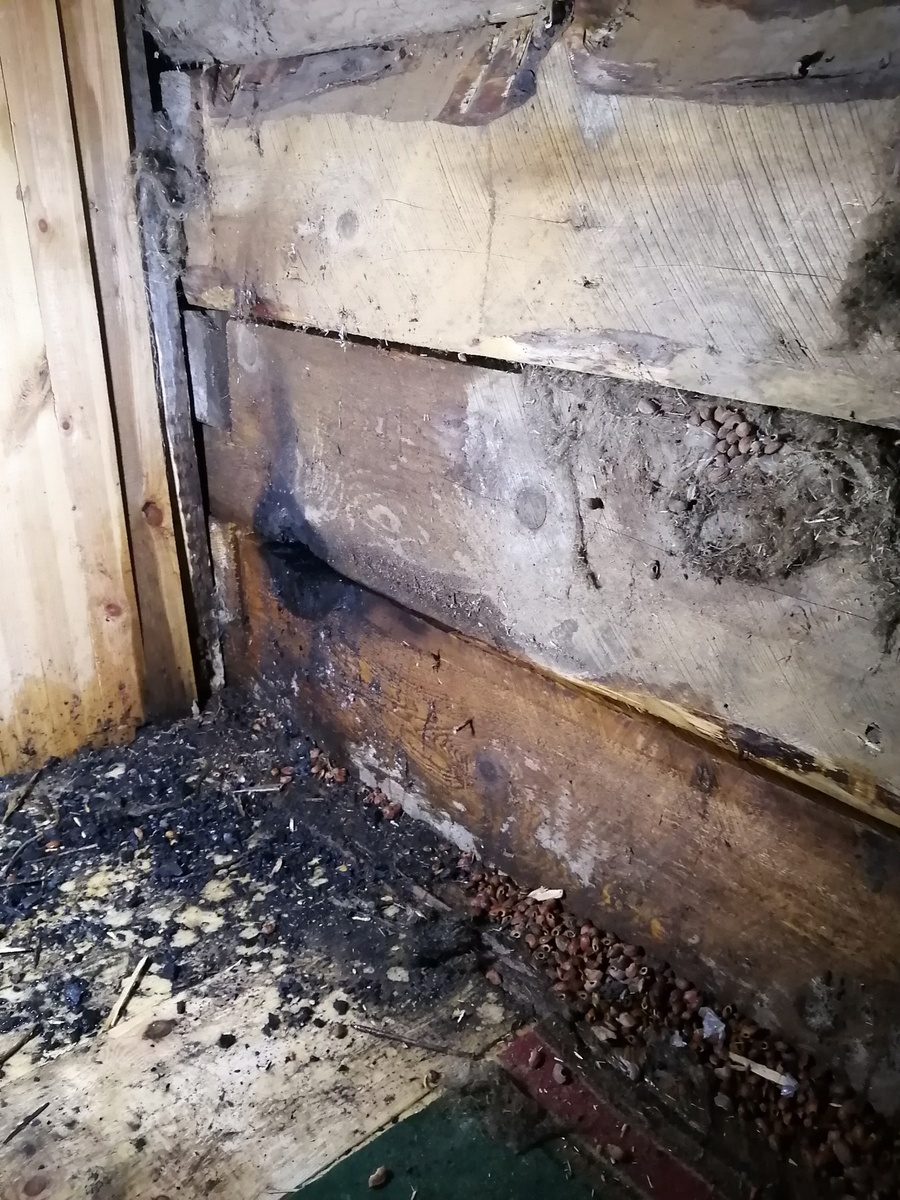 Вид снаружи