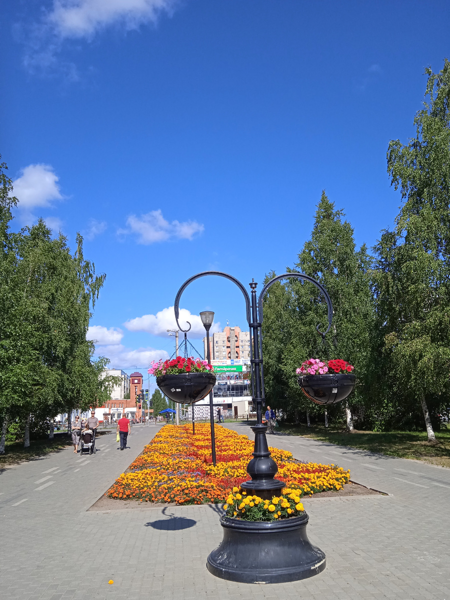 Улица Березовая аллея.