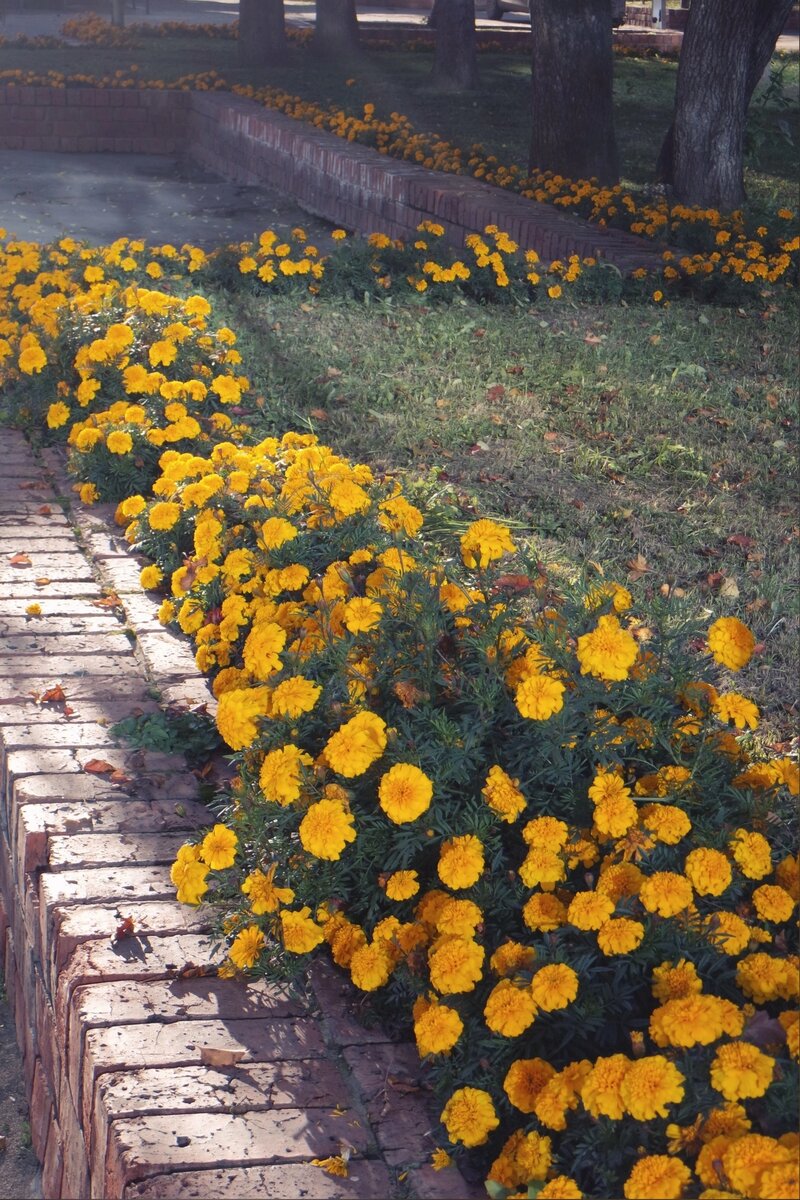 на театре кукол