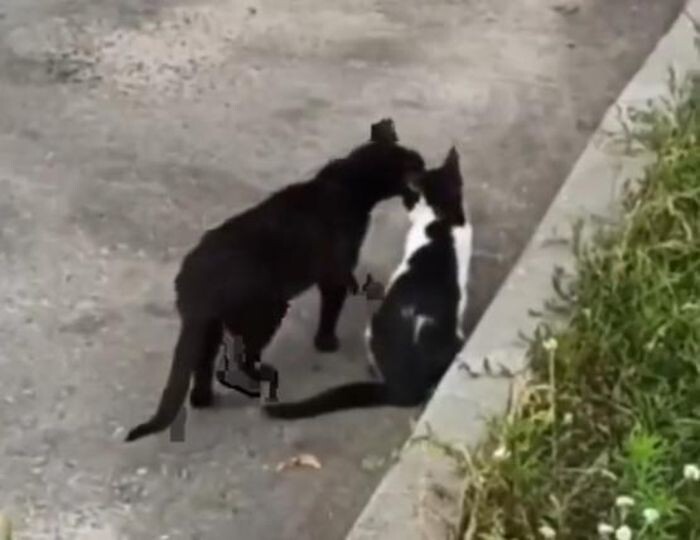 Источник фото: соцсети/скриншот с видео