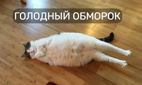 Когда не кормили уже 15 минут.