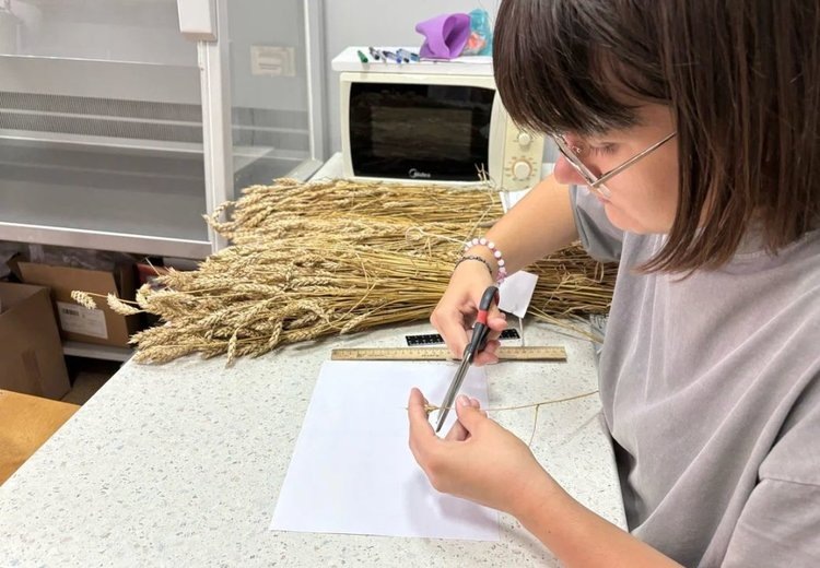    Бактерии в биоудобрениях уберегут пшеницу от токсичности пестицидов