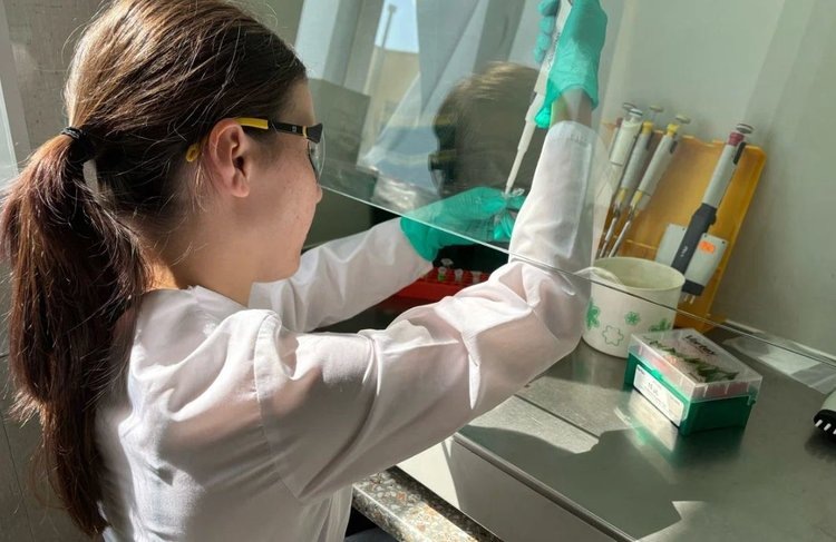     Бактерии в биоудобрениях уберегут пшеницу от токсичности пестицидов
