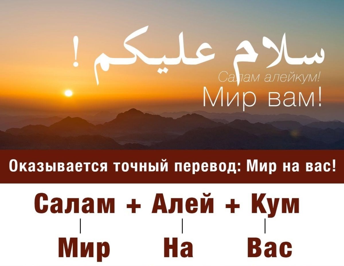 Популярные фразы в Египте