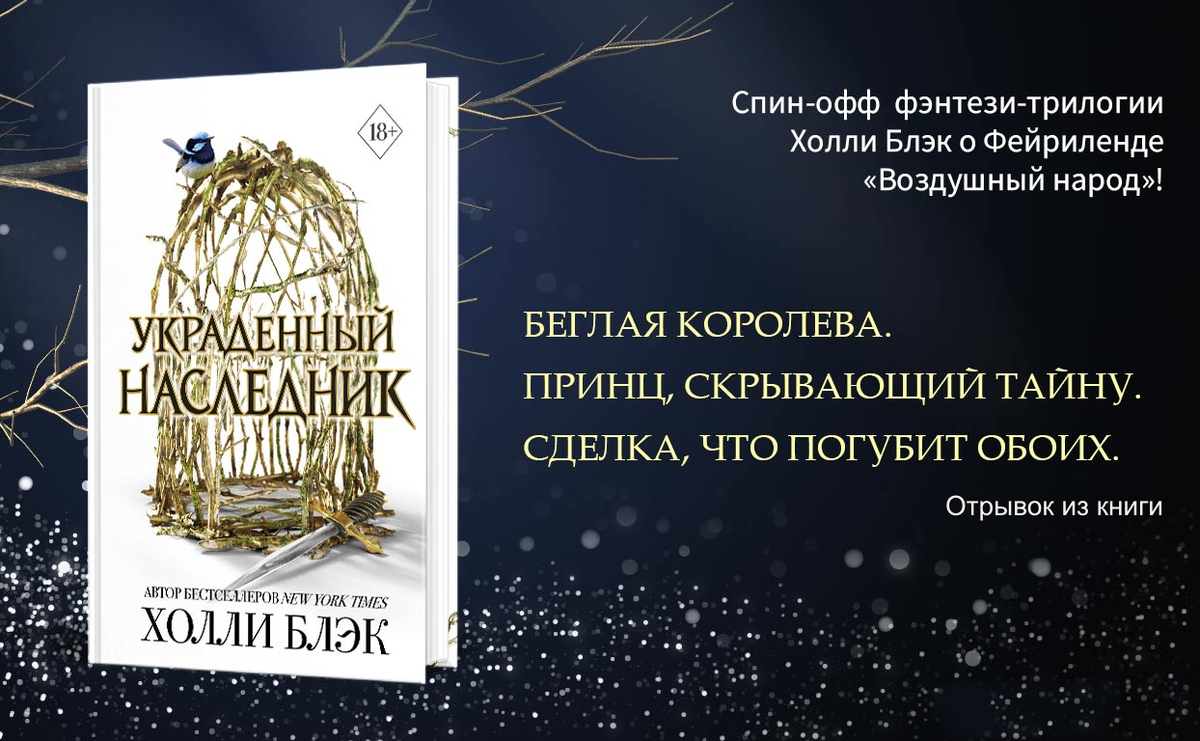 Холли Блэк "Украденный наследник"