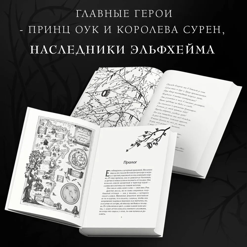Холли Блэк "Украденный наследник"