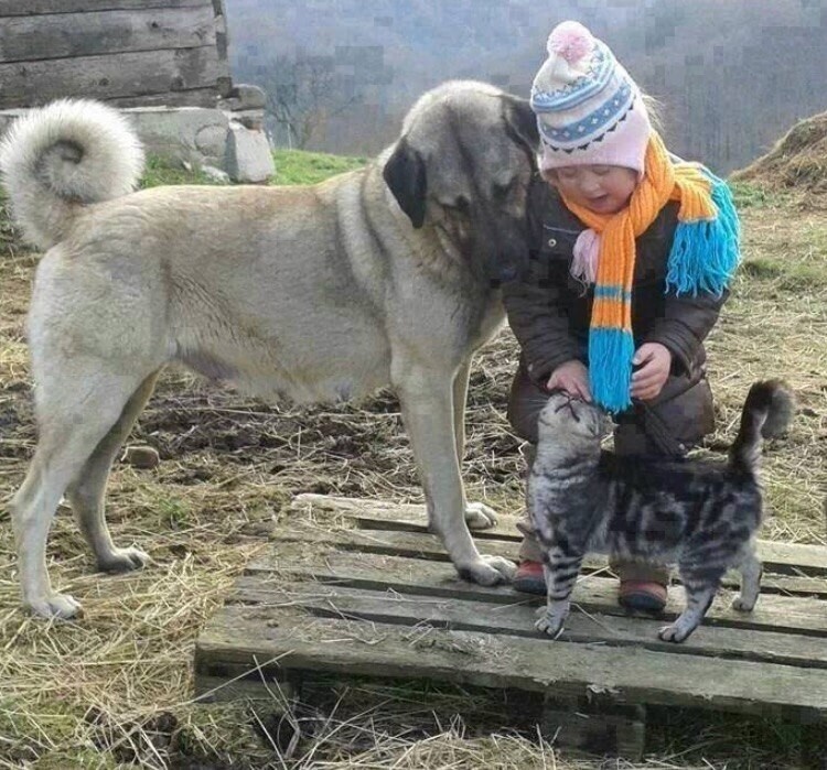 Фото из доступного источника