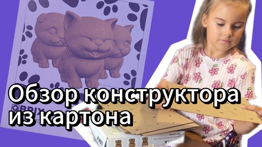 Обзор конструктора 3D из картона, котики