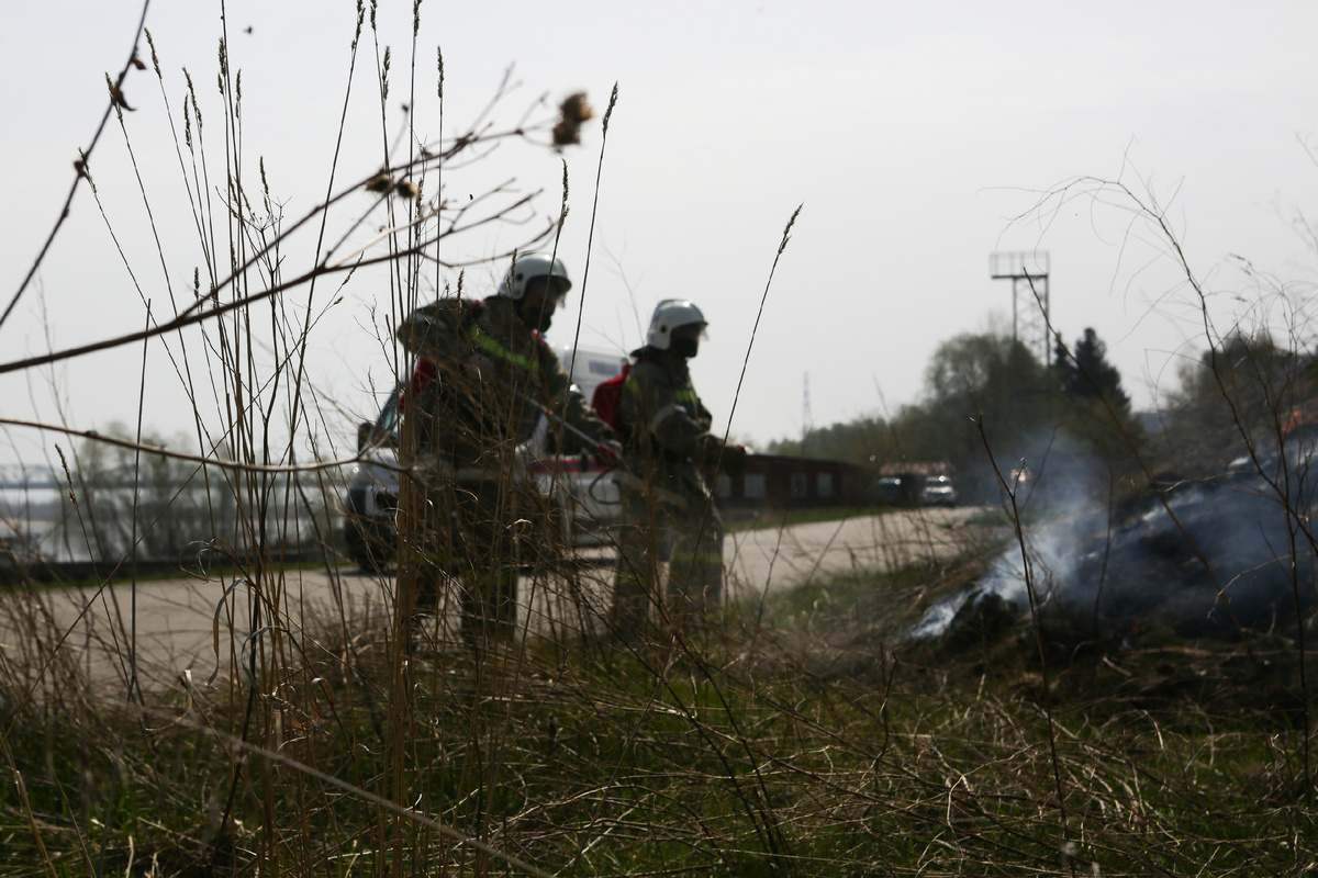 Фото: nsknews.info