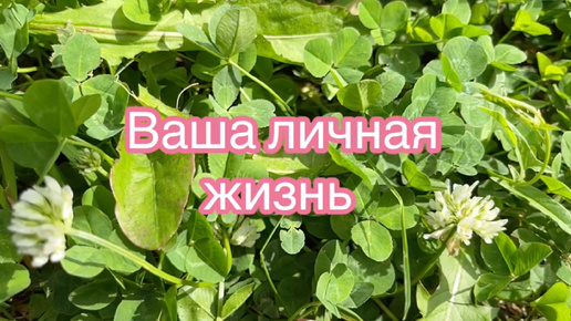 💙 Ваша личная жизнь ❤️