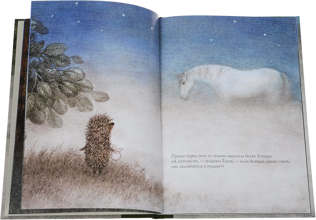 Ёжик в тумане. Сергей Козлов. Сказка.