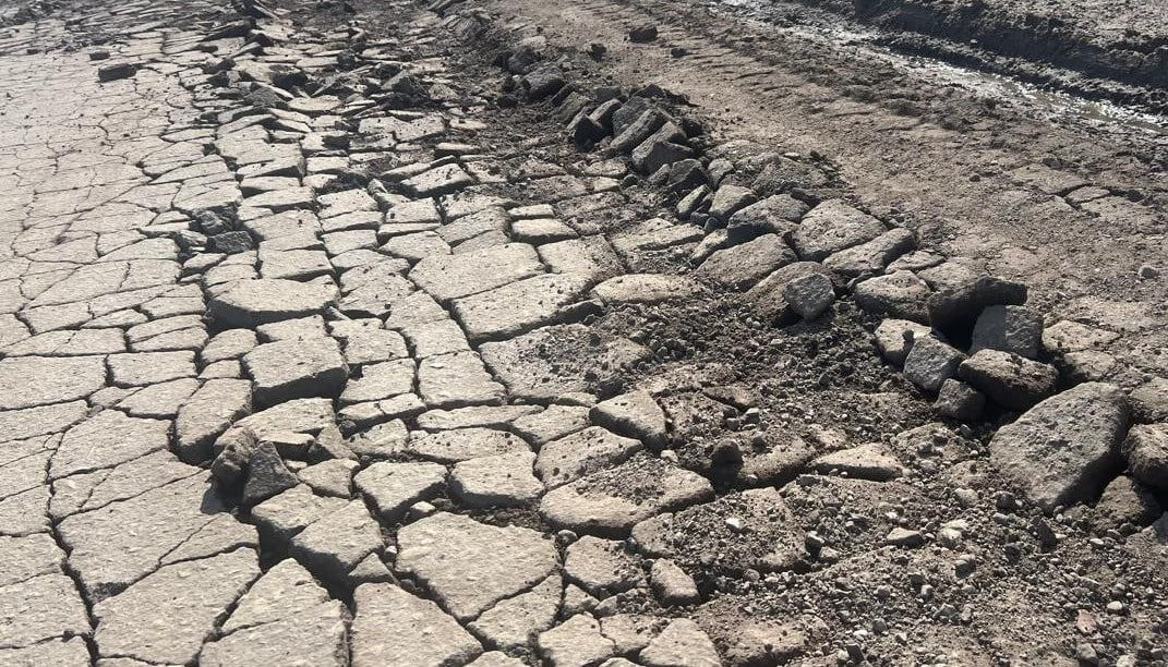 Фото: Марина Родионова