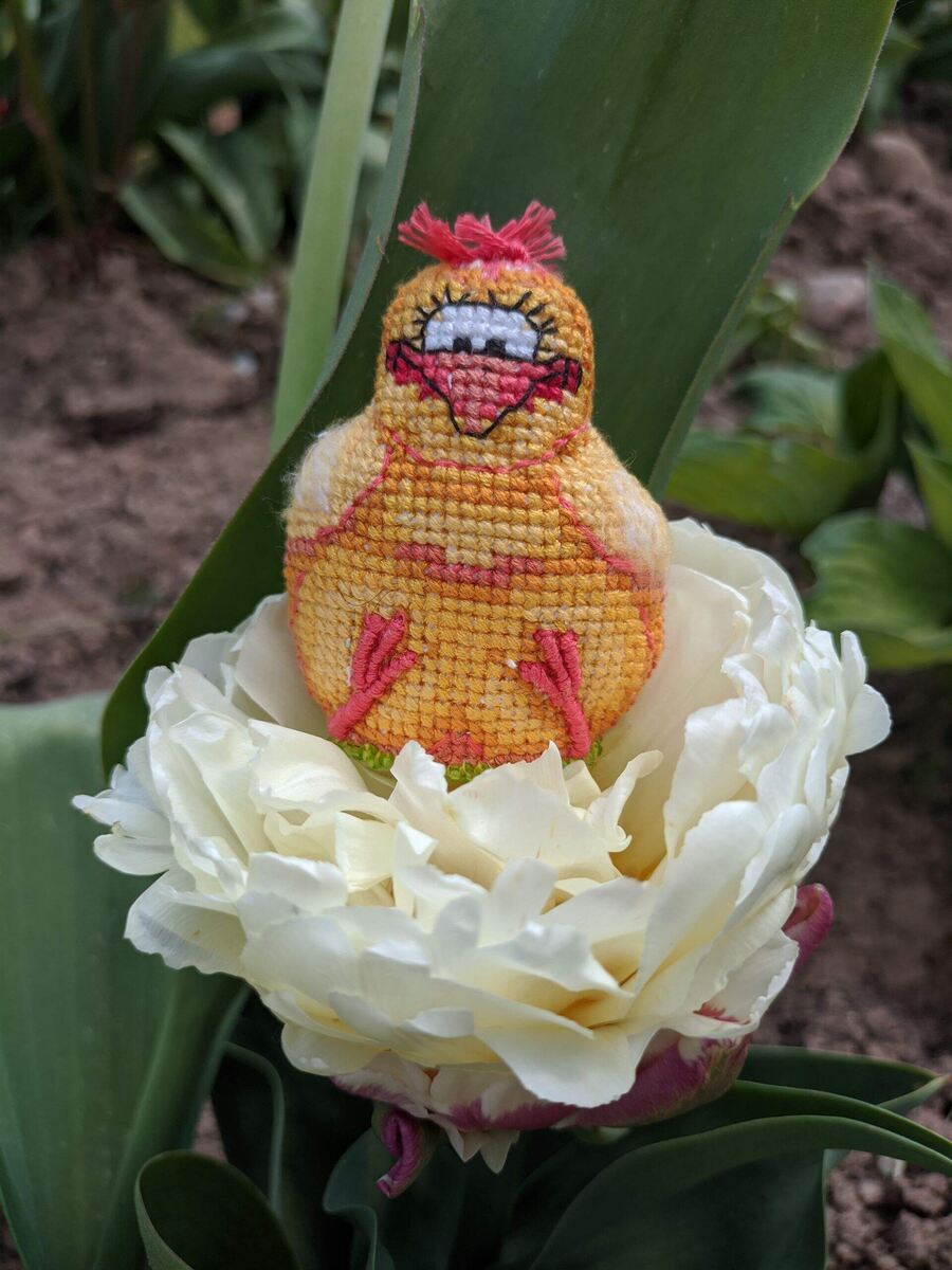 Цветы я люблю вот так и тюльпаны мои одни из любимых.