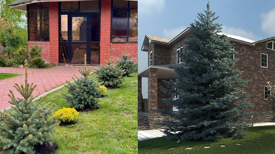 Соцсети блогера scrapyana (слева) и дизайнера pergunova.designer (справа) 