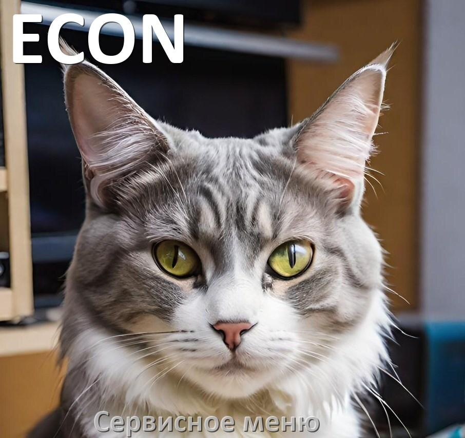 
Как на телевизоре ECON войти в сервисное инженерное меню без пульта