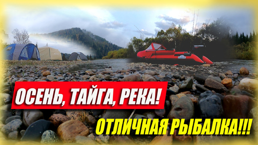 ОТЛИЧНАЯ РЕКА - ОТЛИЧНАЯ РЫБАЛКА!!! Осень! Тайга! #активный отдых, #путешествие #сибирь