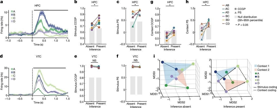    Активность нейронов головного мозга при абстрагировании и логических выводах по своему характеру напомнила исследователям стаю летящих птиц или толпу поющих бобельщиков на стадионе / © Hristos S. Courellis et al., Nature