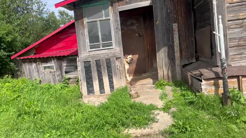 Ну кто там еще? Уходите все!