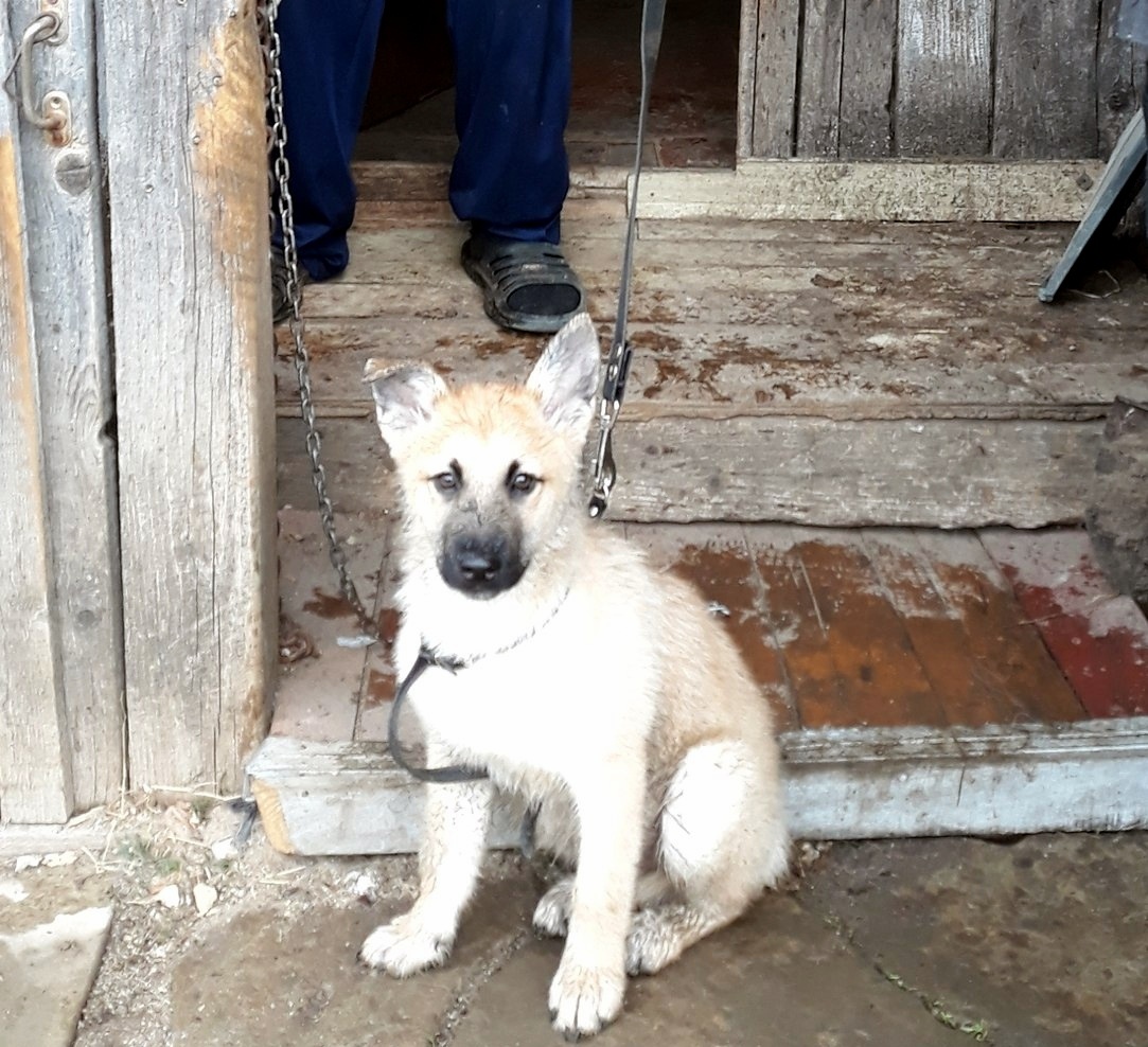 Ян - в раннем детстве