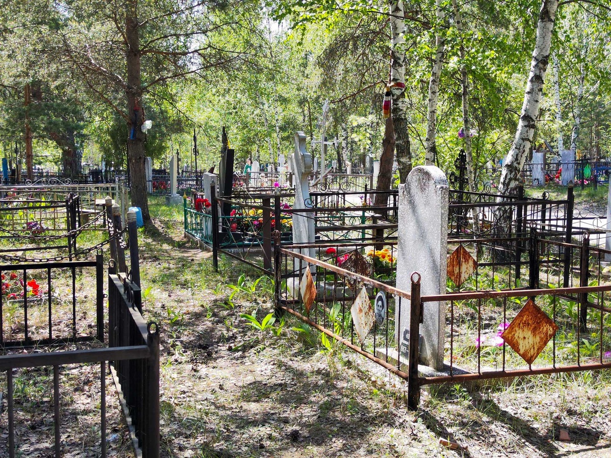 Специалисты обследовали участок сельскохозяйственного назначения площадью 11,6 га.  Фото: Фото: ФедералПресс / Ксения Кобалия