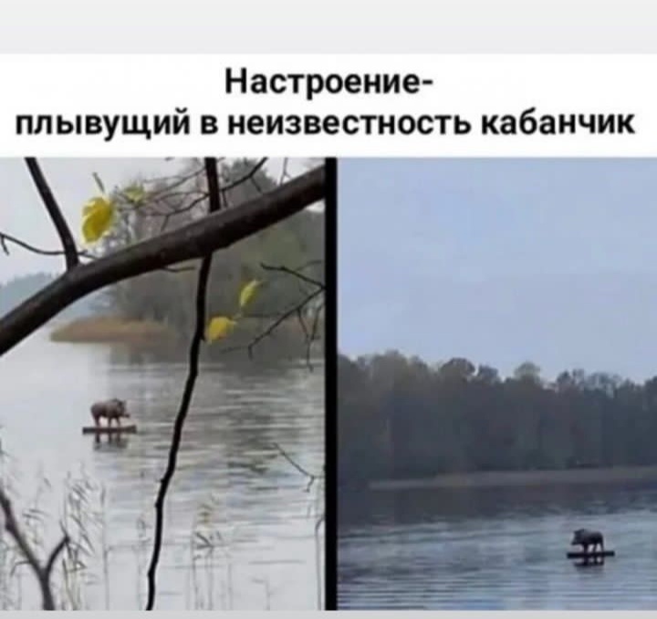 Фото из открытых источников.