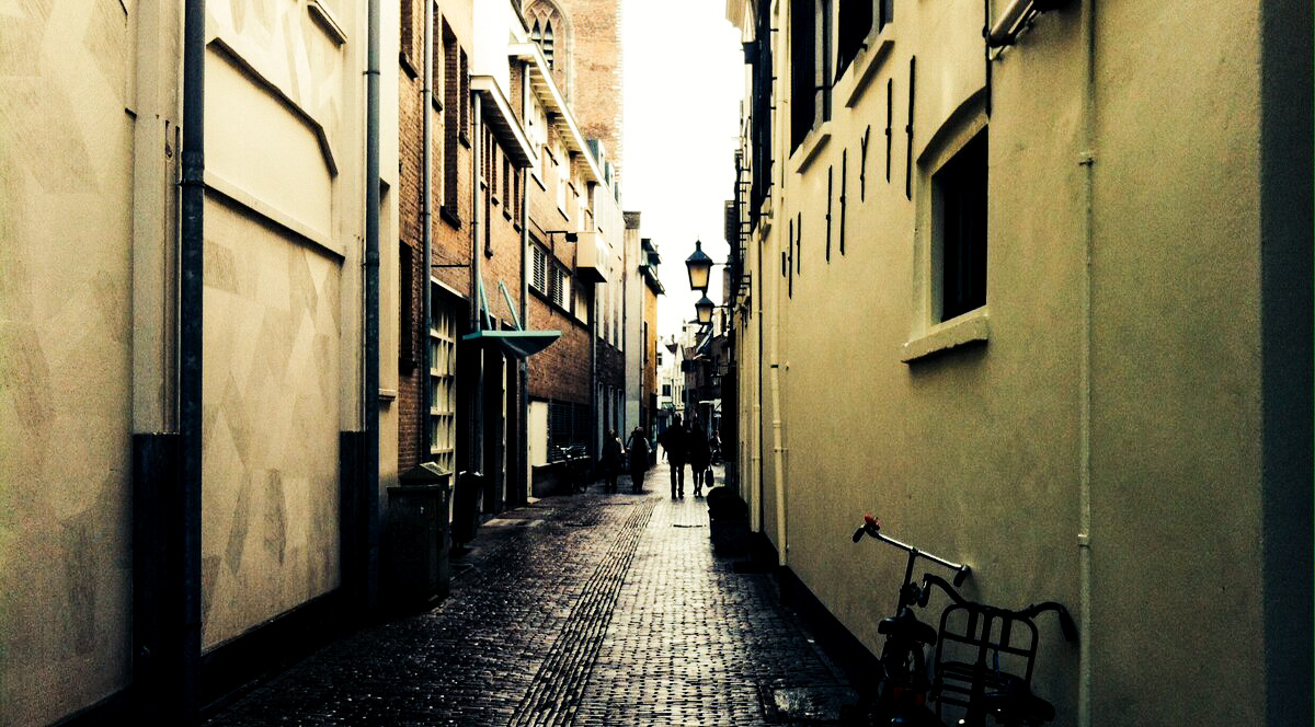 Проблему усугубляет историческая планировка Амстердама: узкие улицы, тонкие стены, высокая плотность заведений создают постоянный шум. На улице ночью много маргиналов и нетрезвых туристов, что вызывает недовольство местных жителей.