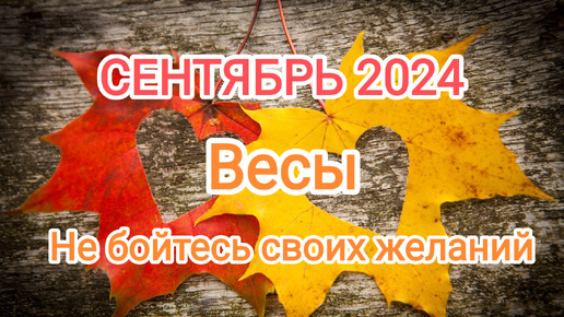 ВЕСЫ🍁 СЕНТЯБРЬ 🍁 Тароскоп 🍁