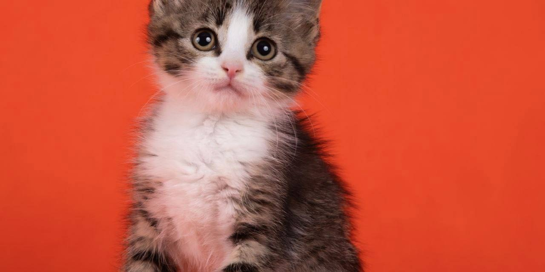 ❗ДОМА❗Малышка, которая для кого-то стала лишней.