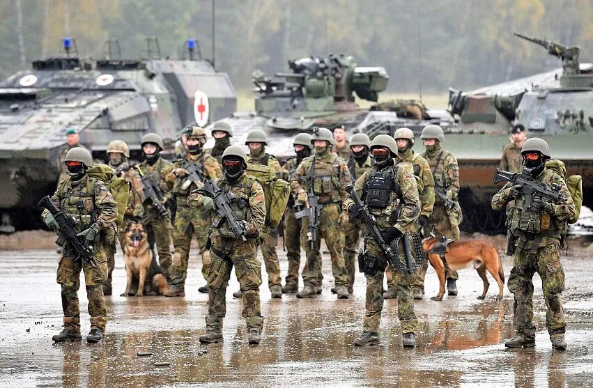 Фото: Fabian Bimmer / REUTERS