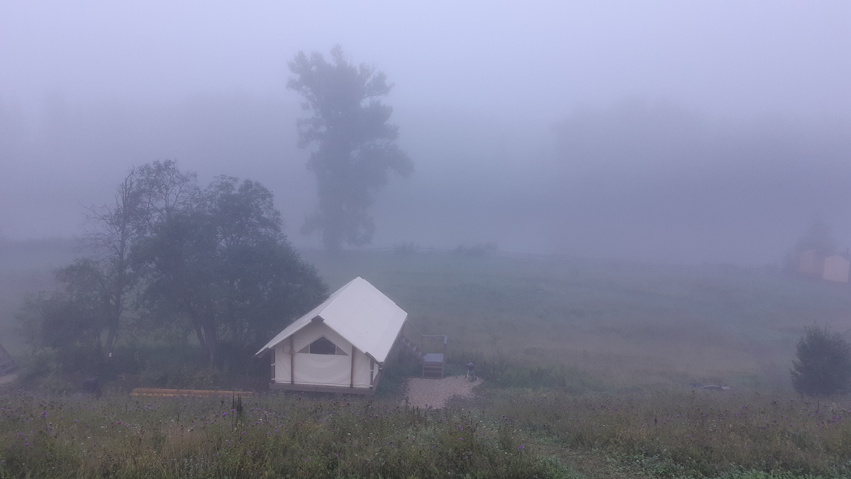 Туман и тишина