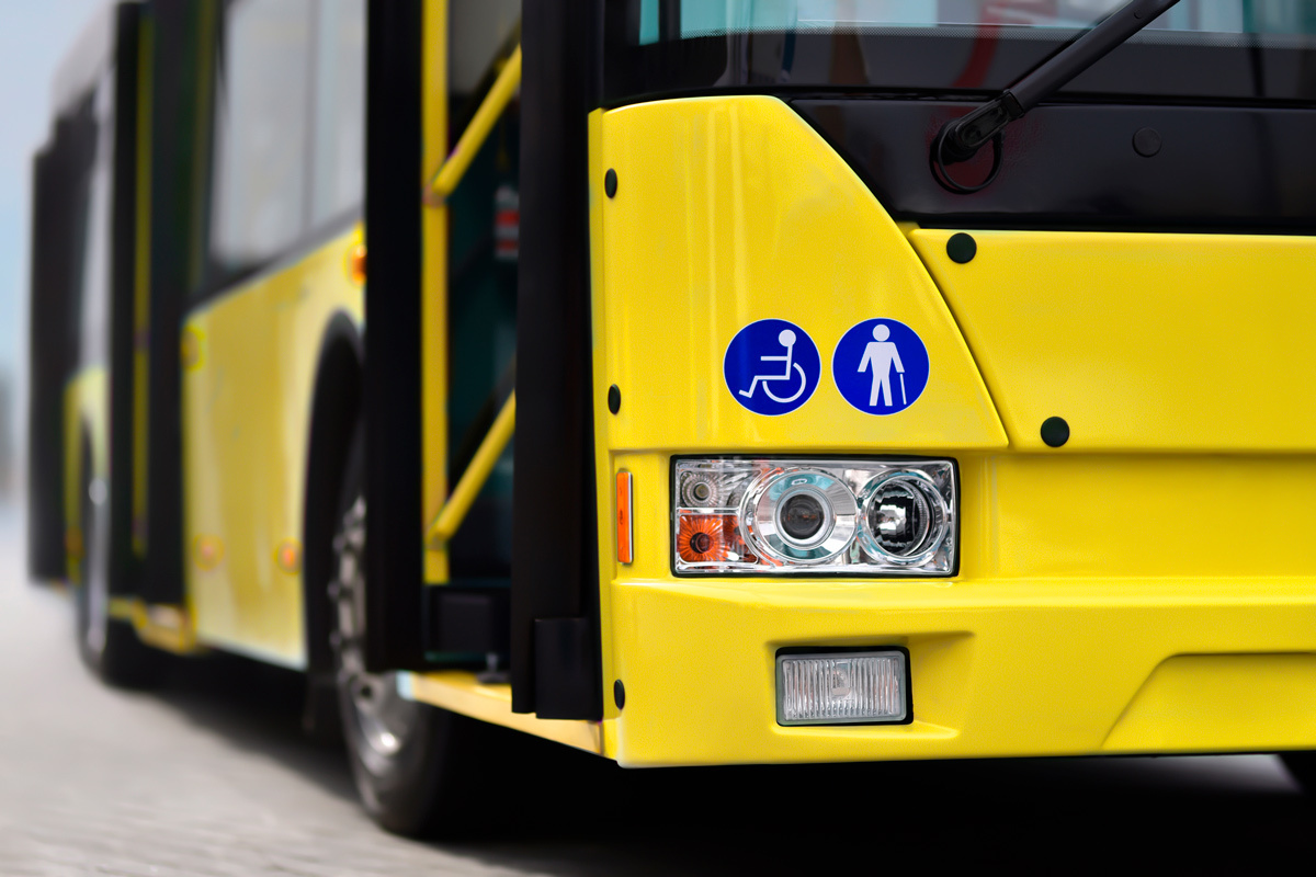    Фото: alexfan32 / Shutterstock.com