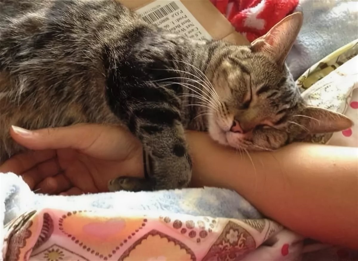 Источник: imgsmail.ru