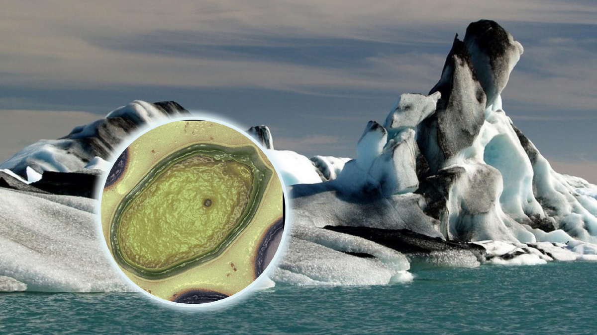 Черные льды Гренландии очень быстро тают. Источник изображения: drive2.ru