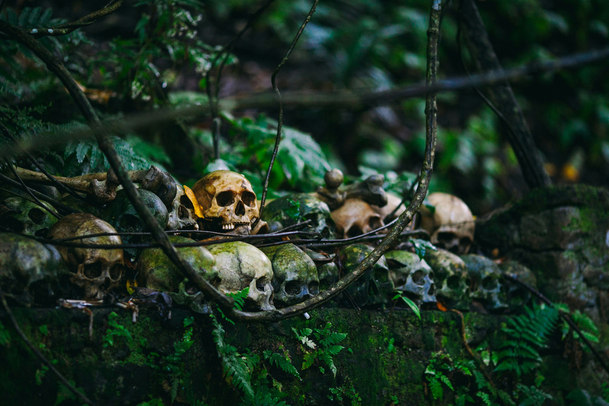 Фото: Unsplash