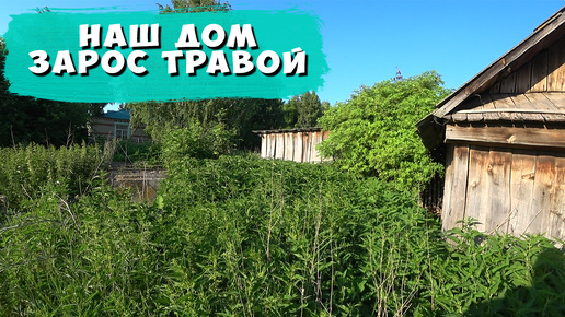 Дом зарос травой, кошу траву вокруг дома #домвдеревне #diy #niksonдомвдеревне