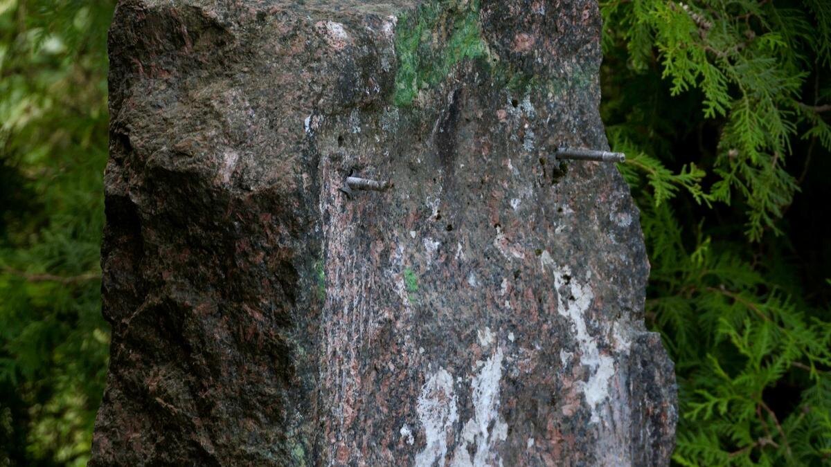    Фото: Павел Даиси / MR7