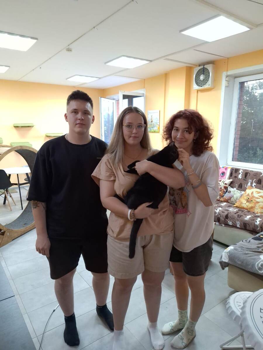 Марсик стал домашним