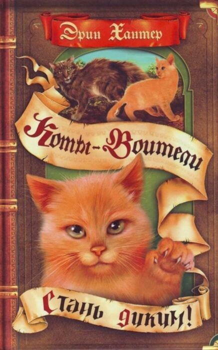 Вот с этой самой книги начался интерес к кошкам в этой семье, и начало этому интересу положил восьмилетний сын нашей героини.