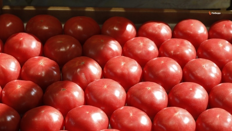      Фото: ИА «Победа26»