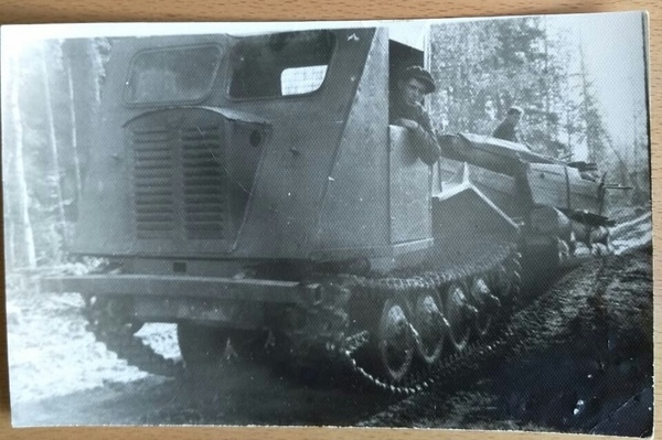 Фото из семейного архива. На лесозаготовке в Лужме