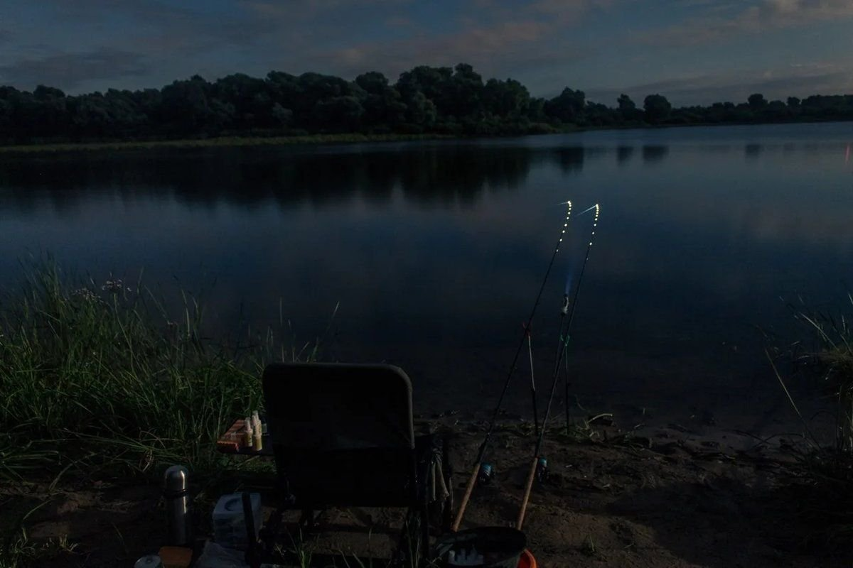 Фото с сайта: https://webpulse.imgsmail.ru