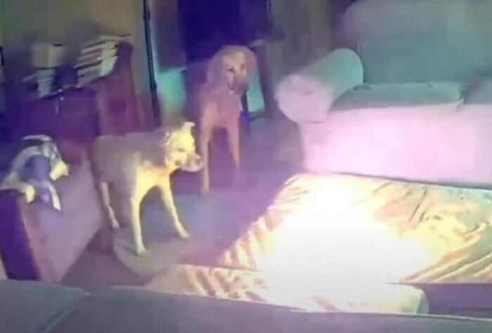 Источник фото: скриншот видео/ Tulsa Fire Department