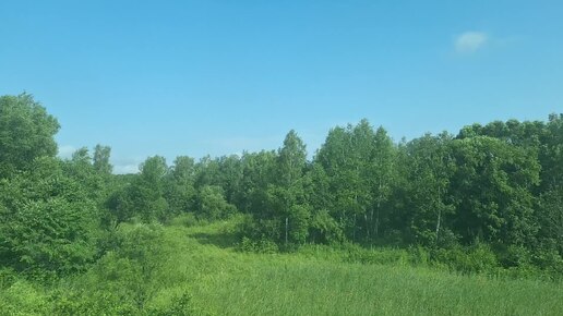 Из окна поезда. На перегоне Лучегорск - Дальнереченск-1 (Приморский край)-3