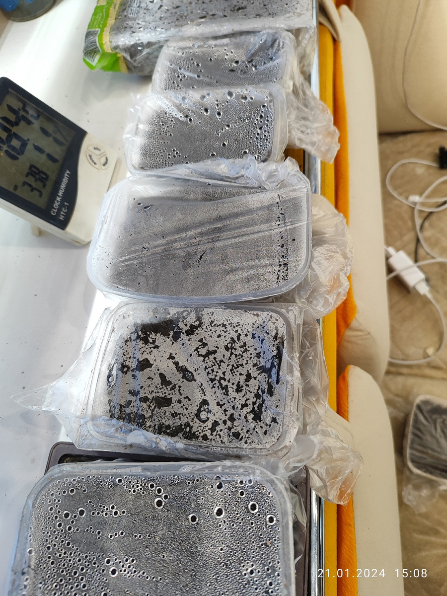 Периодически открываем, проветриваем.