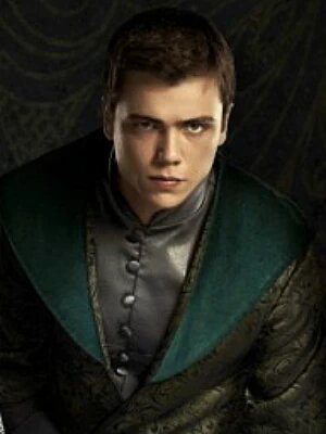 А в сериале "Великолепный век" Шехзаде Джихангира сыграл актер Толга Сарыташ. Фотография заимствована с https://muhtesemyuzyil.fandom.com/ru/wiki/Шехзаде_Джихангир