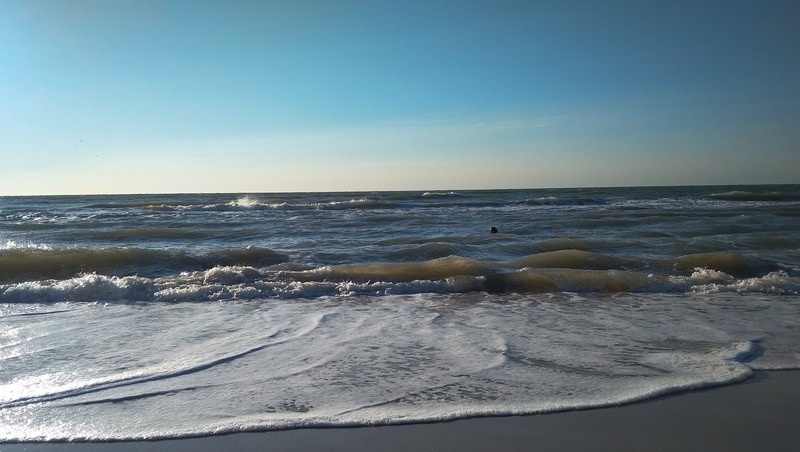      Фото: ИА «Победа26»